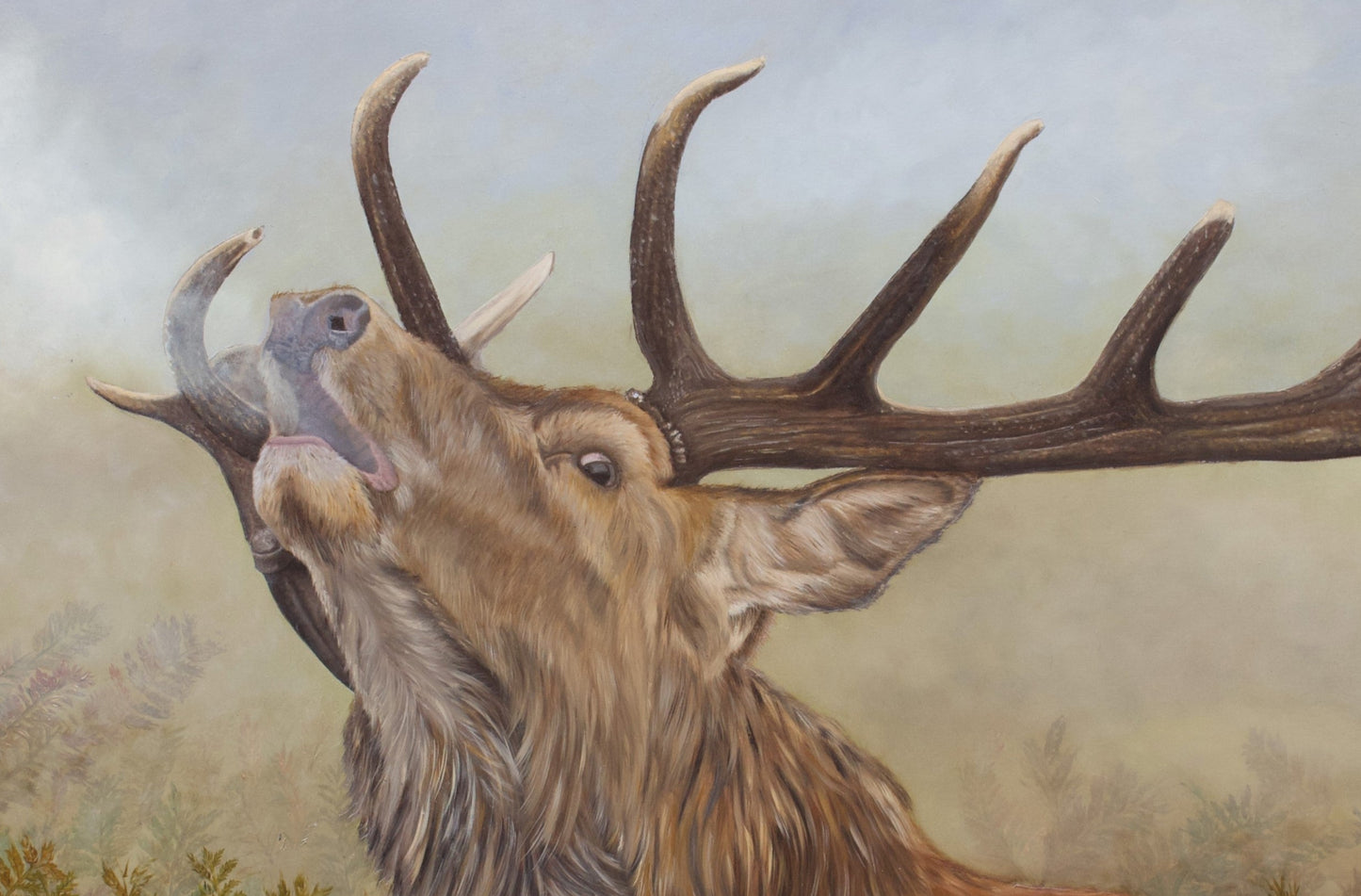 De Stem van de Dageraad