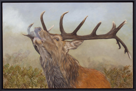 De Stem van de Dageraad