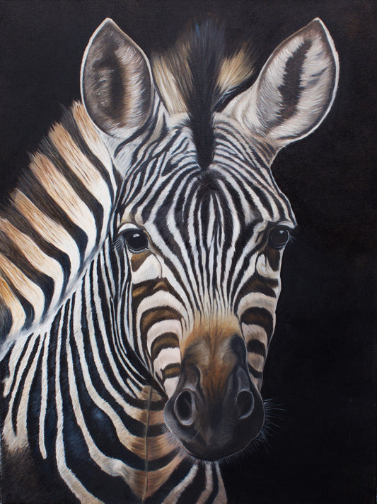 Echo van de Serengeti